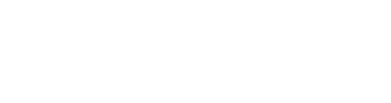 SweepSouth Logo White